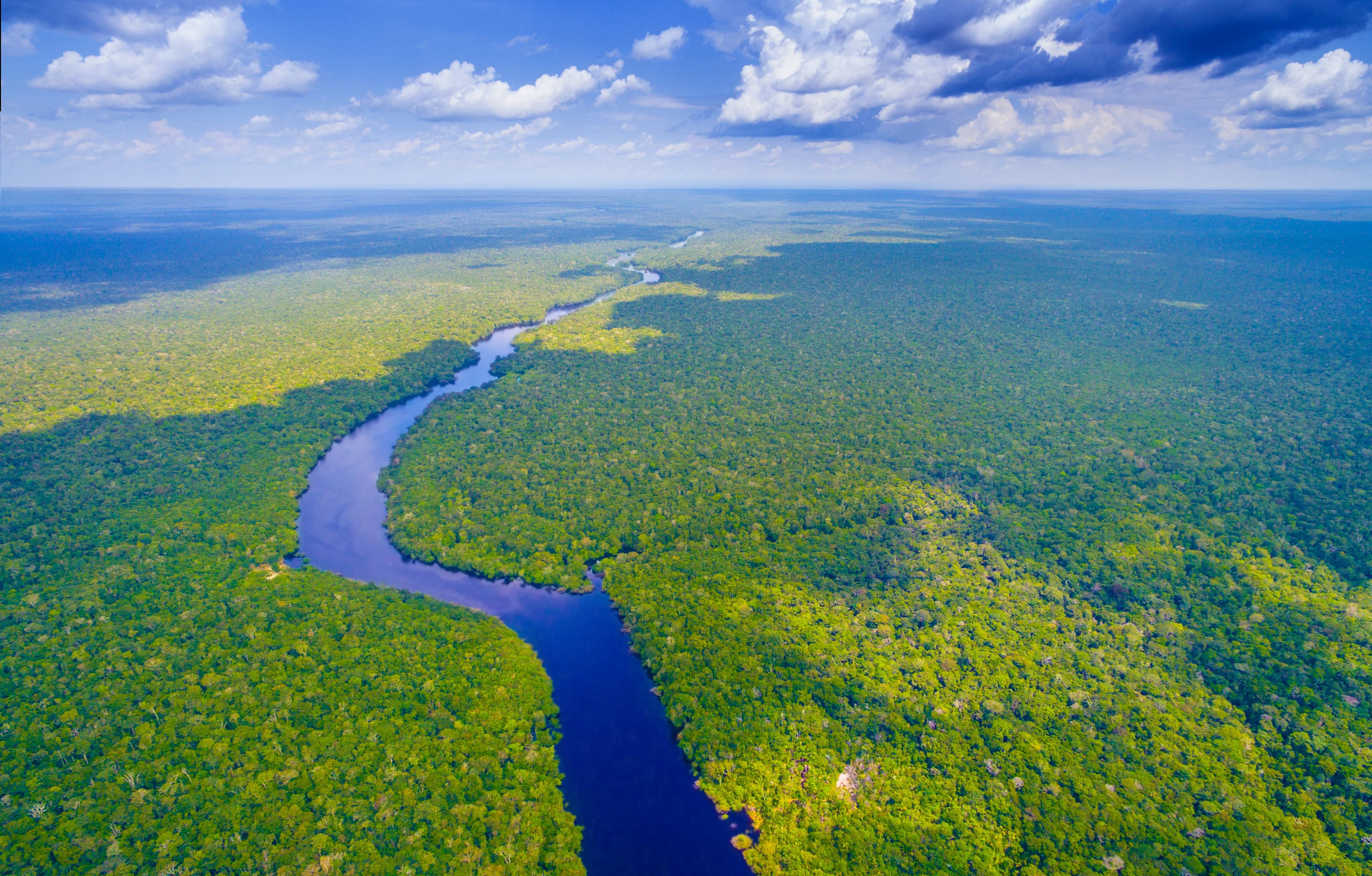 Brazil, përgjysmohet shpyllëzimi i Amazonës krahasuar me vitin 2022