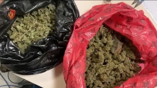 Sekuestrohet 10 kg kanabis në Korçë, arrestohen dy persona