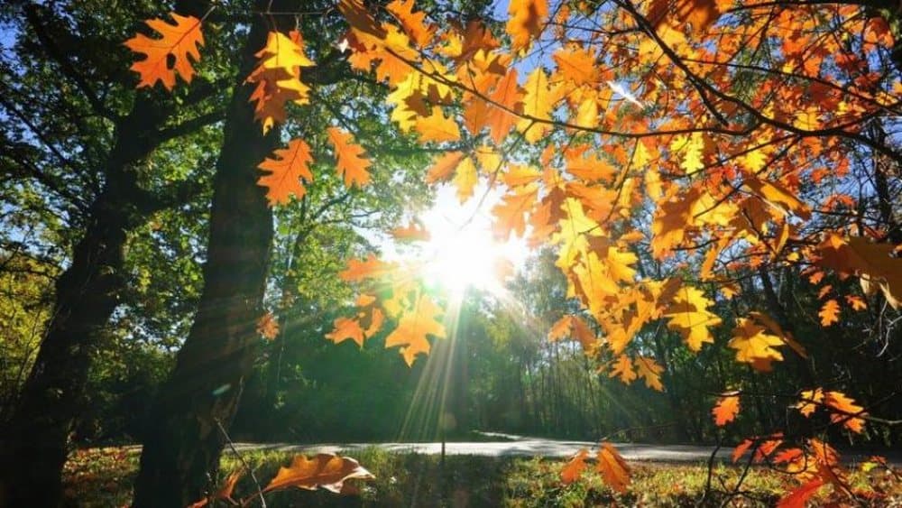 Moti sot/ I qëndrueshëm, temperaturat deri në 24°C