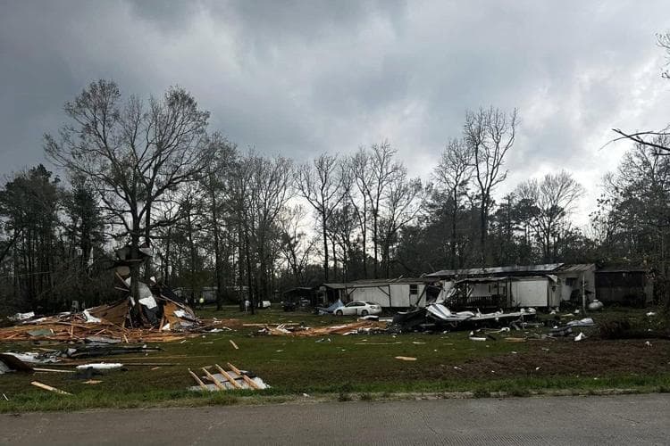 Tornado në Teksas dhe Misisipi, viktima dhe të plagosur