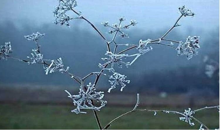 Moti sot/ I kthjellët e i ftohtë, temperaturat deri në -3°C