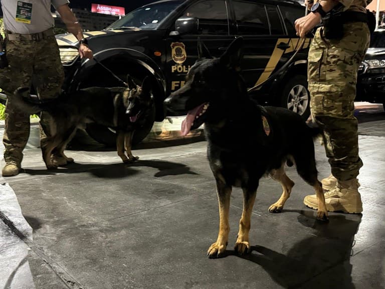 Përplasje mes policisë dhe bandave, 13 të vdekur në qytetin brazilian të Amazonës