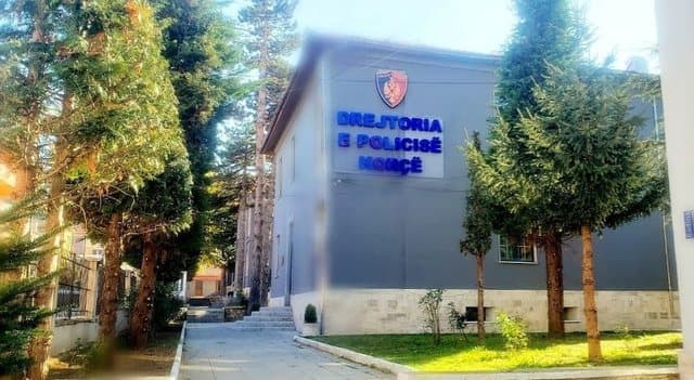 Braktisi prej tre ditësh 4 fëmijët e mitur/ Shpallet në kërkim 31-vjeçarja nga Korça