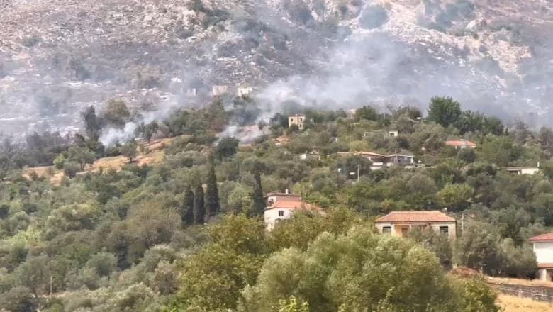 Zjarr në Delvinë, digjen 100 rrënjë ullinj