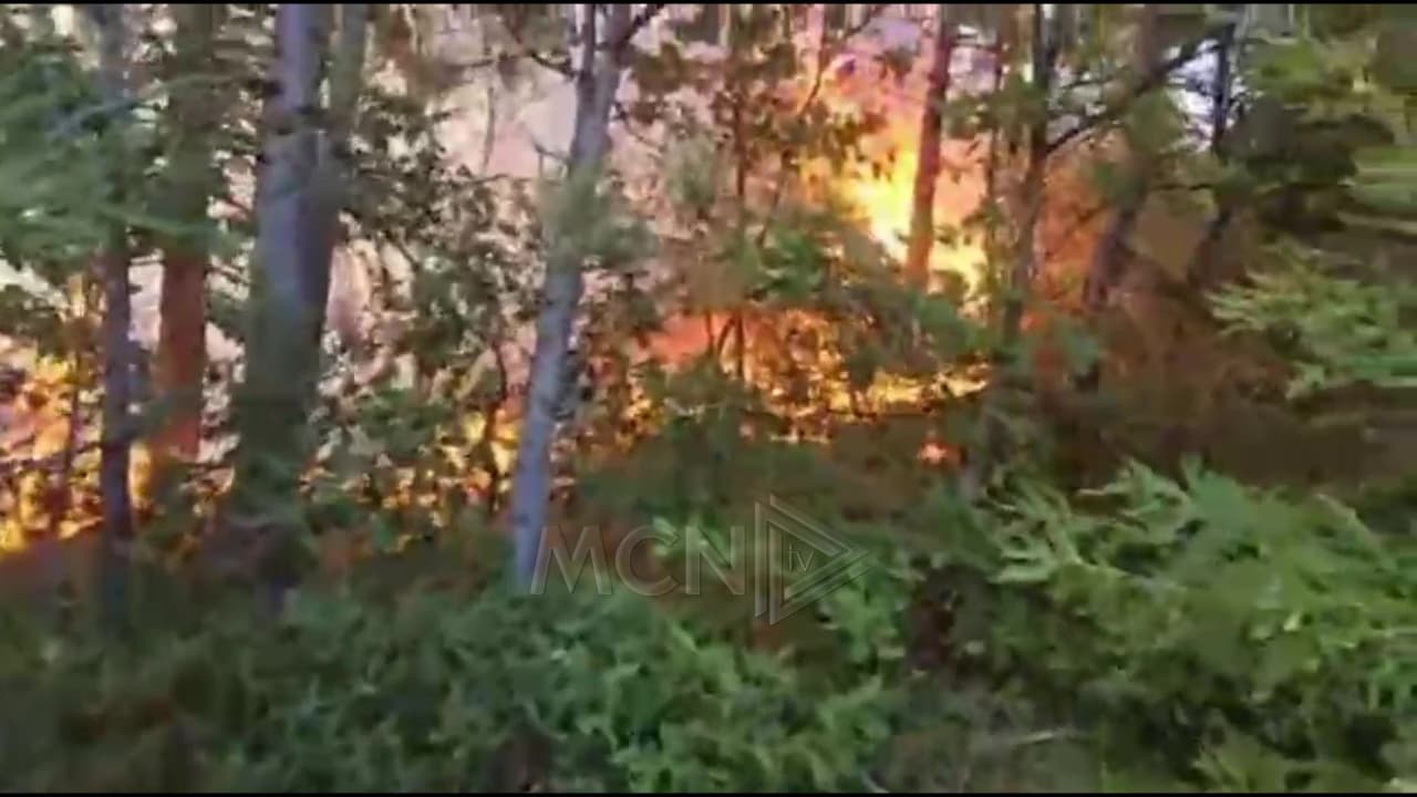 Vatër e madhe zjarri në një pyll me pisha në Mirditë, terreni i vështirë pengon ndërhyrjen (VIDEO)