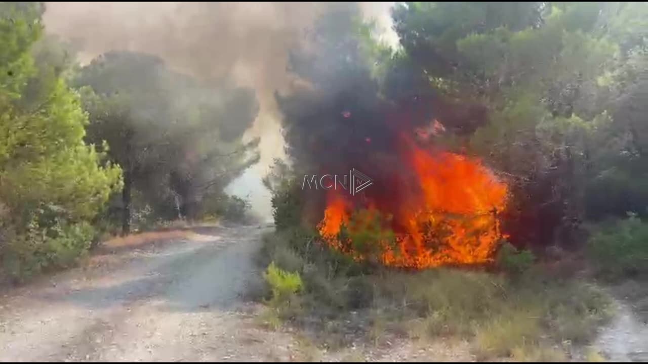 Zjarr në pyllin mes Patosit dhe Mallakastrës/ Ndërhyjnë Emergjencat dhe helikopteri