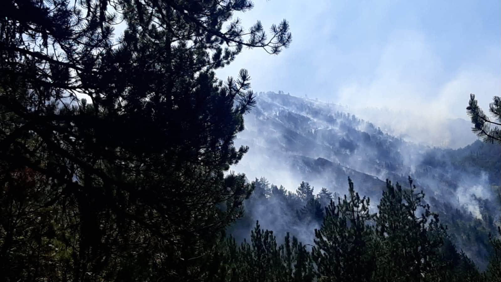 Situata me zjarret/ 31 vatra zjarri gjatë ditës në Shqipëri, 14 mbeten aktive