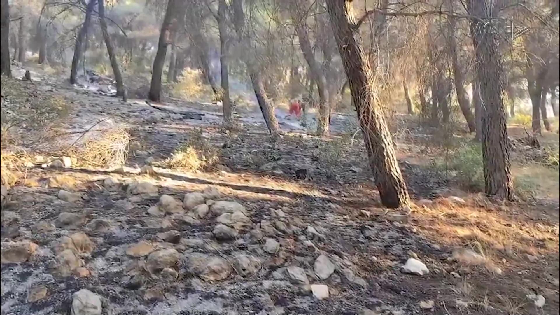 Helikopterët për zjarret, të pamjaftueshëm / Bajrami: Mjetet të amortizuara, bashkitë nuk alokojnë fonde (VIDEO)