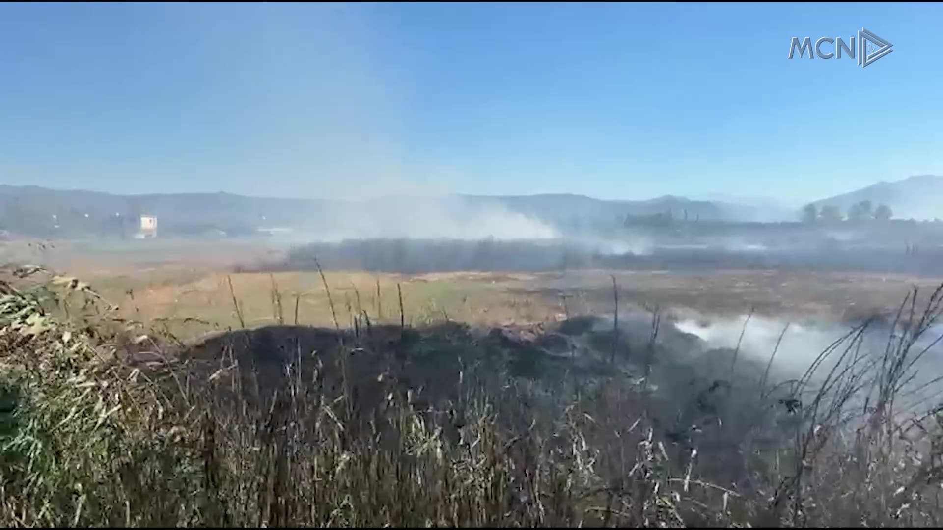 Zjarr në Peqin dhe Lezhë / Situatë e rënduar, vijojnë përpjekjet për shuarjen e flakëve