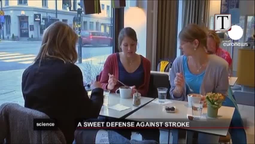 Dieta me çokollatë, verë të kuqe dhe birrë shton jetëgjatësinë?! (VIDEO)