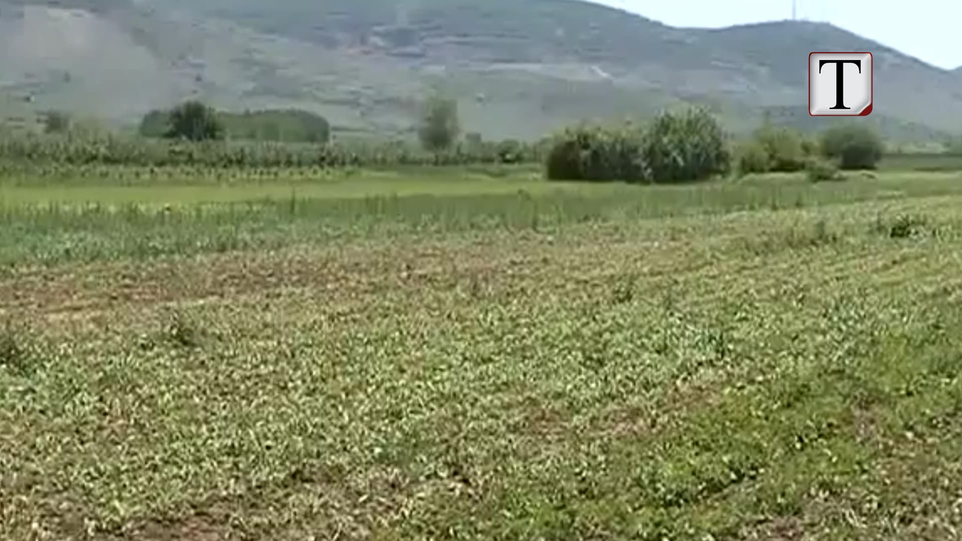 Gati ligji, fermerët do të paguajnë me detyrim sigurimet (VIDEO)