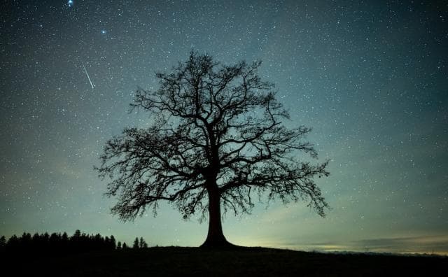 Shiko qiellin këto data: Të gjitha ngjarjet astronomike që mos t’i humbim në 2021-shin