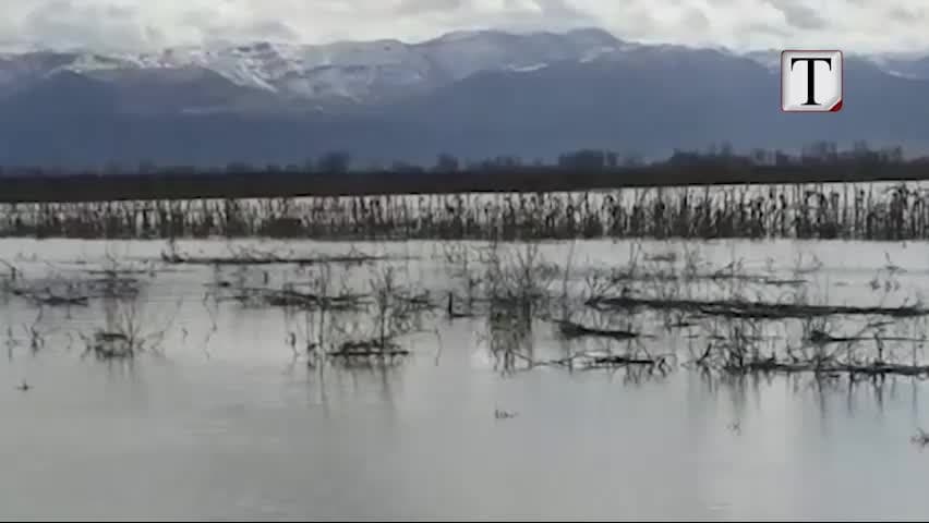 Përmbytjet, Mbrojtja dhe bashkia raportime të ndryshme (VIDEO)