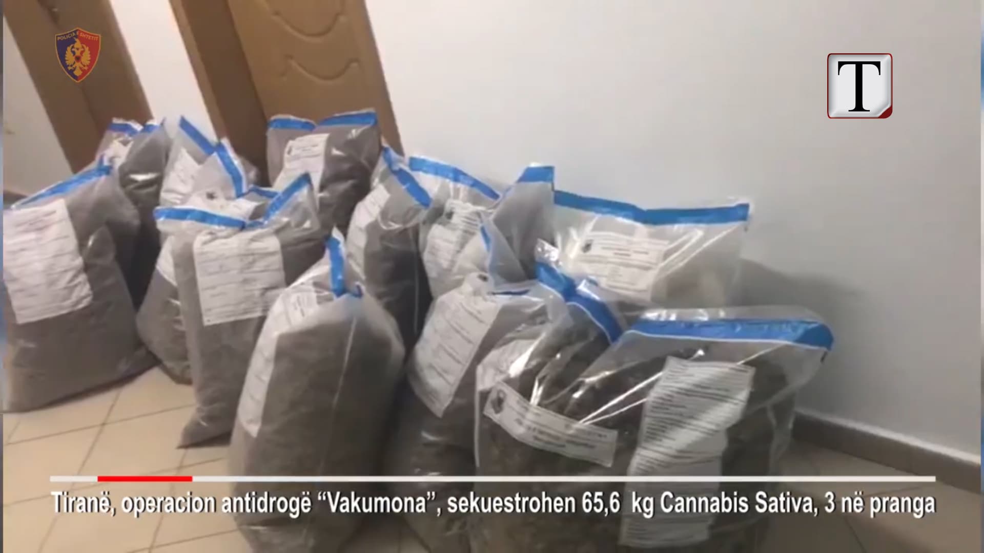Sekuestrohen armë dhe hashash në gurore dhe përrua (VIDEO)