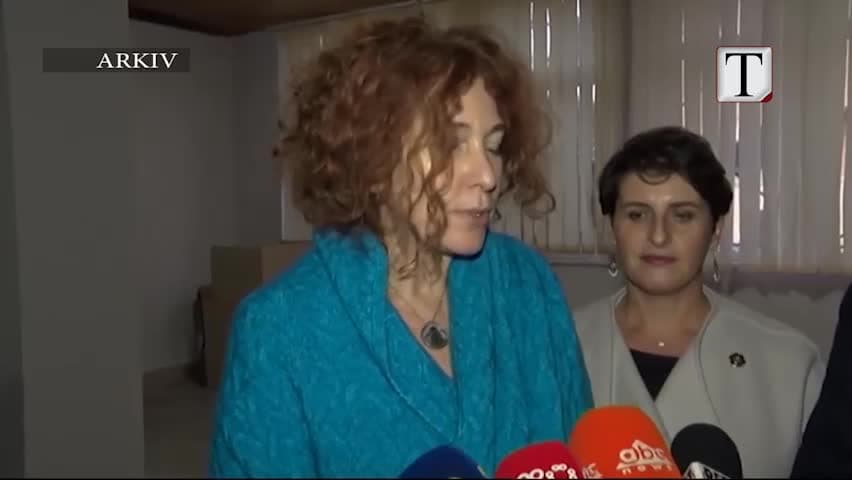Vlahutin: Duhet gjyqësor i pavarur dhe të sundojë ligji (VIDEO)