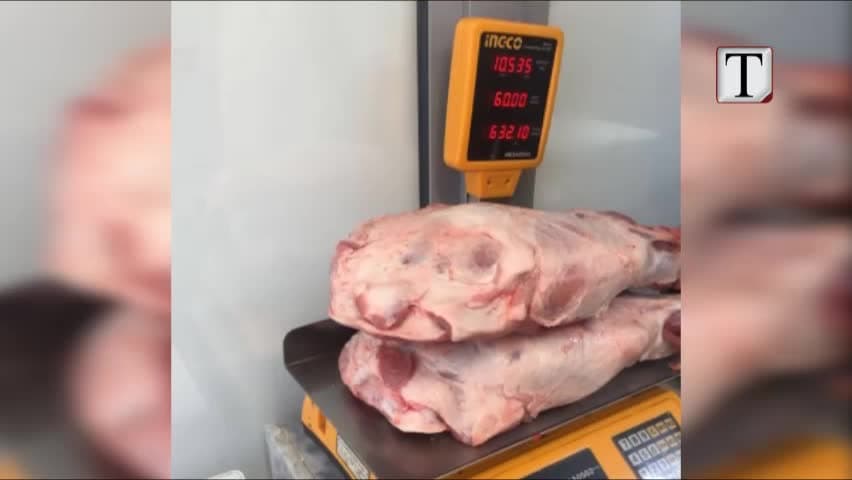 Shisnin mish në mënyrë të kundërligjshme, gjobiten subjektet (VIDEO)