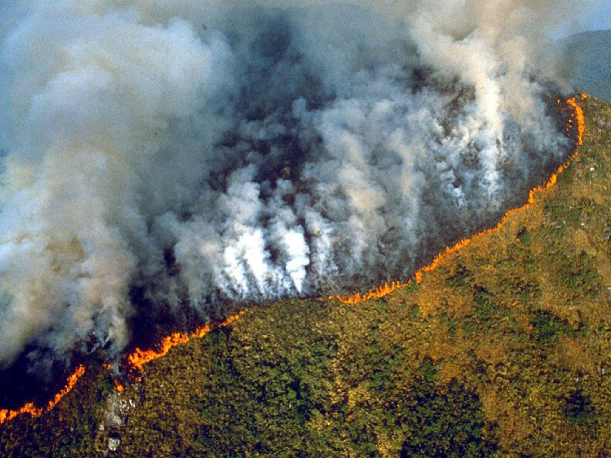 Brazili shfajësohet për zjarret në Amazonë