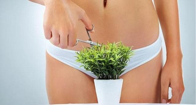Organi seksual, një vështrim mbi trendet që ndjekin femrat në botë