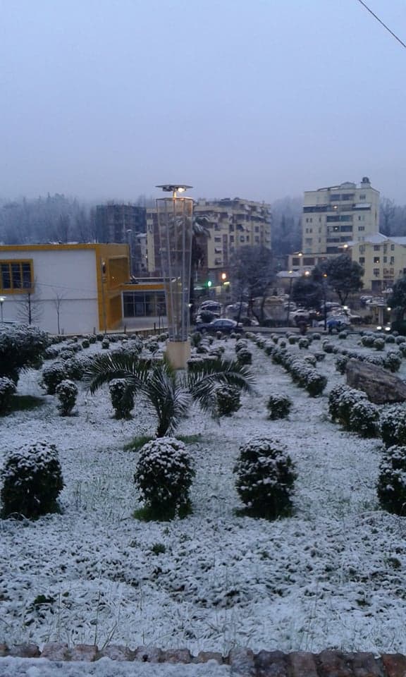 Tirana zbardhet nga bora