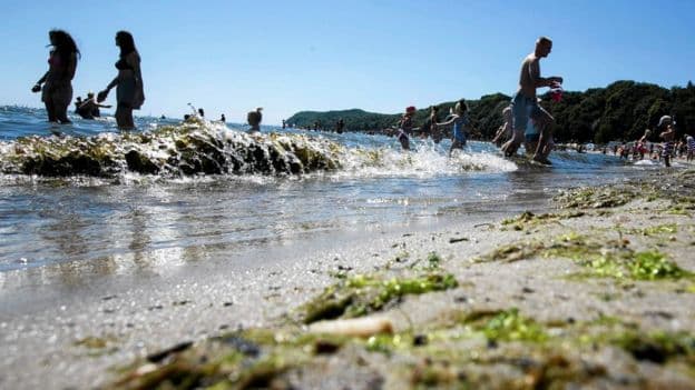 Moti i çmendur godet kontinentin e vjetër, nga shkrirja e malit në Suedi, mungesa e lakrës në Bruksel e deri te shpëtimi i peshqve në Zvicër