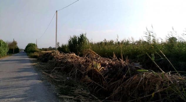 Divjakë, 14-vjeçari aksidentohet për vdekje nga kushëriri
