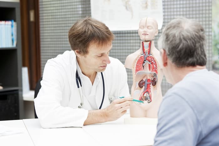 Rezultatet e habitshme të një studimi: 54% e meshkujve europianë mendojnë se prostata është organ femëror