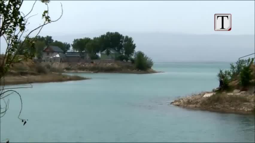 Uzbekistan, mbjellja e pemëve rikthen jetën në detin aral (VIDEO)