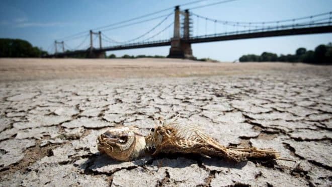 Këtë verë u thyen rreth 400 rekorde temperaturash në botë