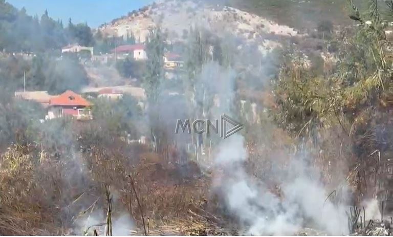 Zjarr në Pllanë të Lezhës, ndërhyrja e zjarrfikësve shpëton banesat nga ...